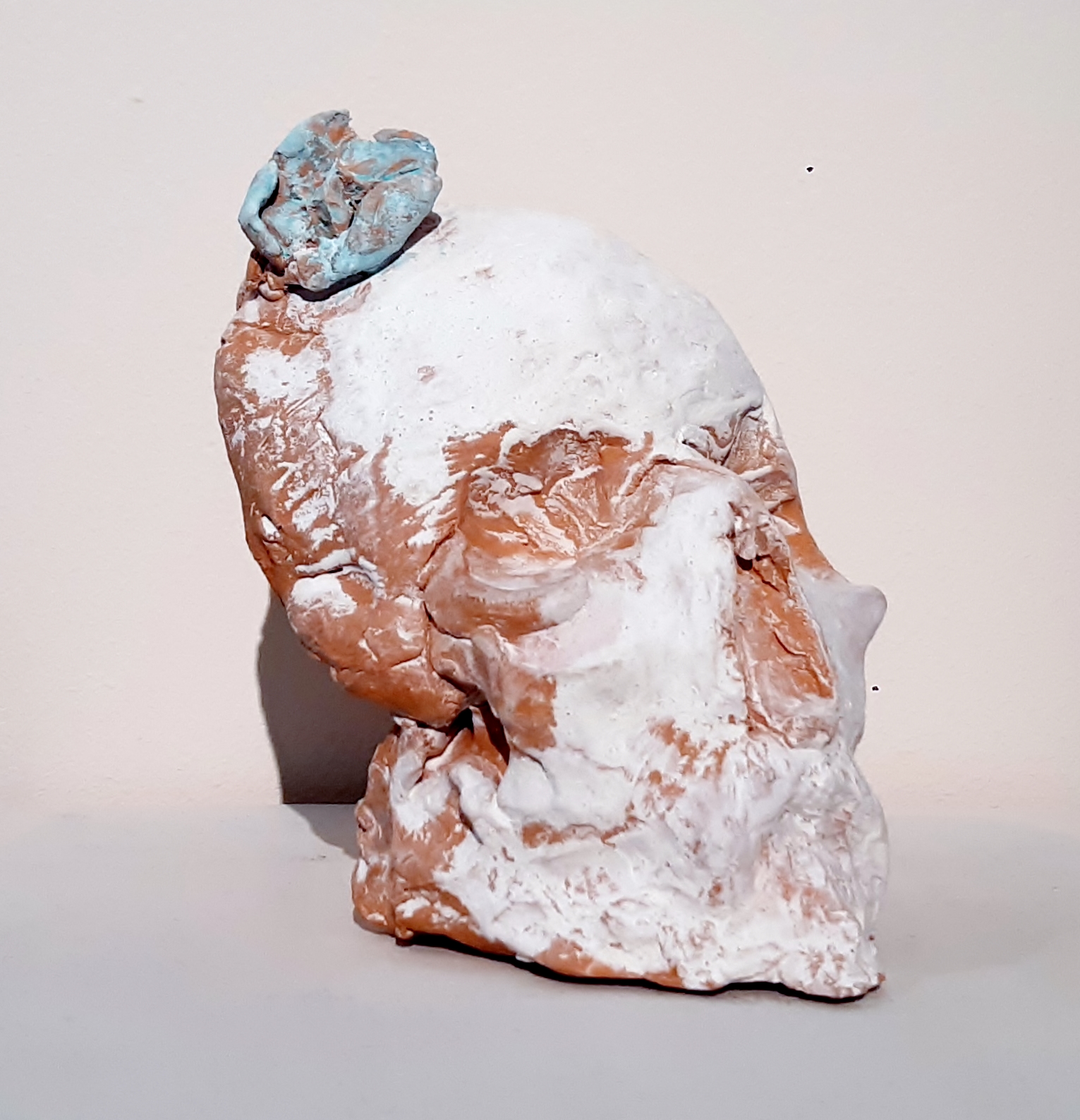 Schädelselbst Schädelselbst