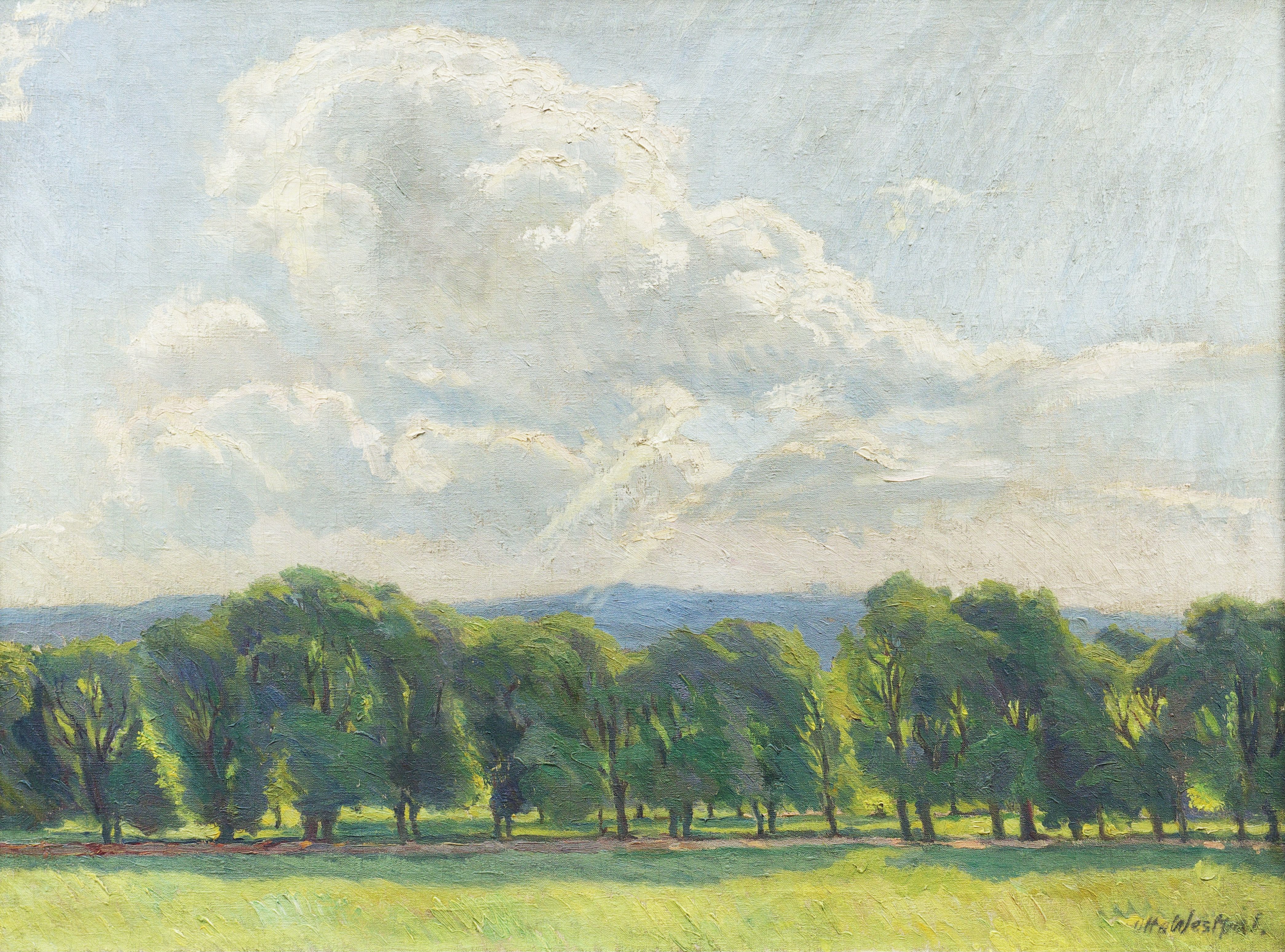 Maillebahn im Schlosspark Pillnitz Maillebahn im Schlosspark Pillnitz