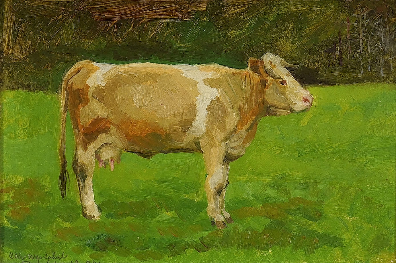 Einzeln stehende Kuh Einzeln stehende Kuh