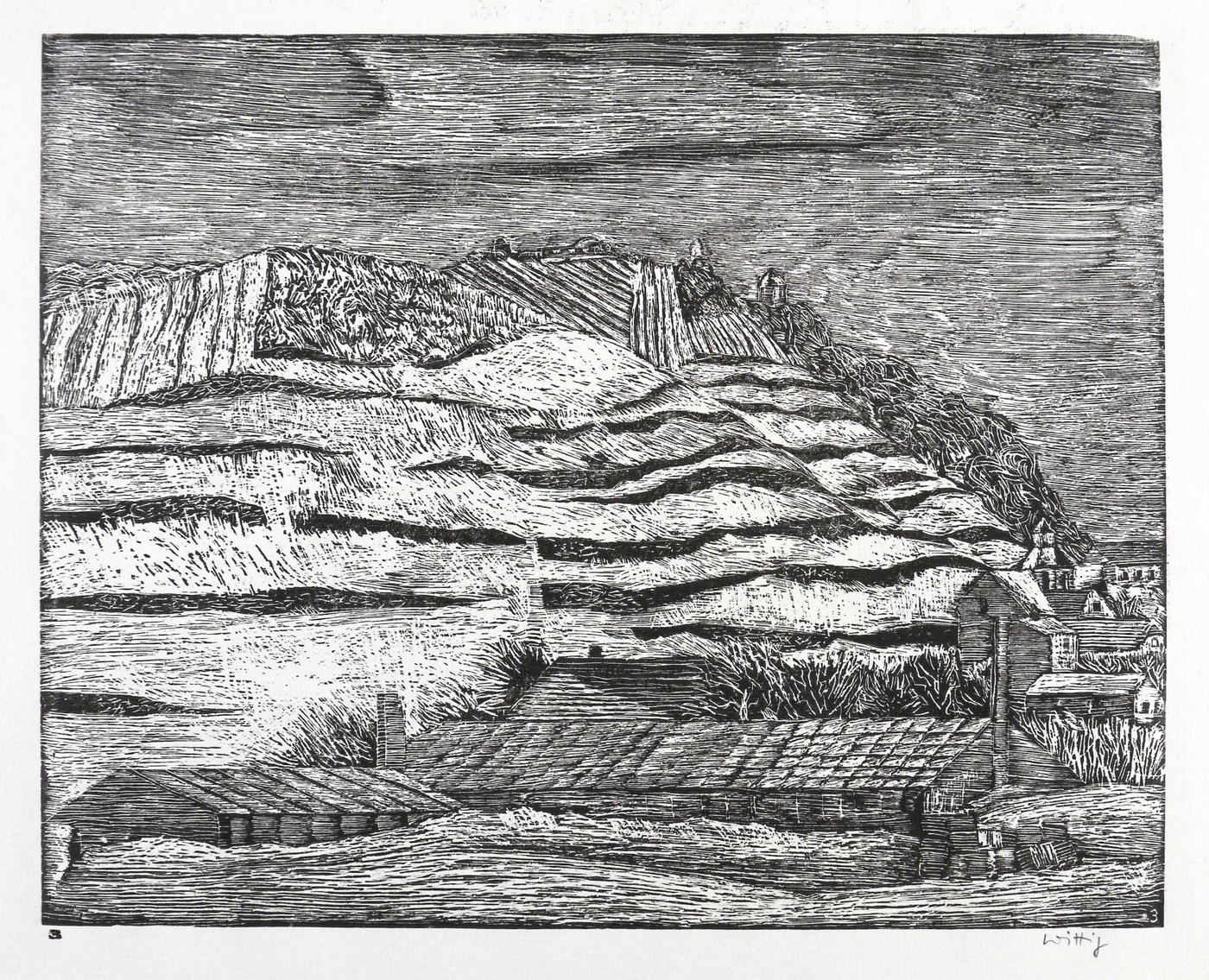 Weinberge im Schnee (Radebeul)