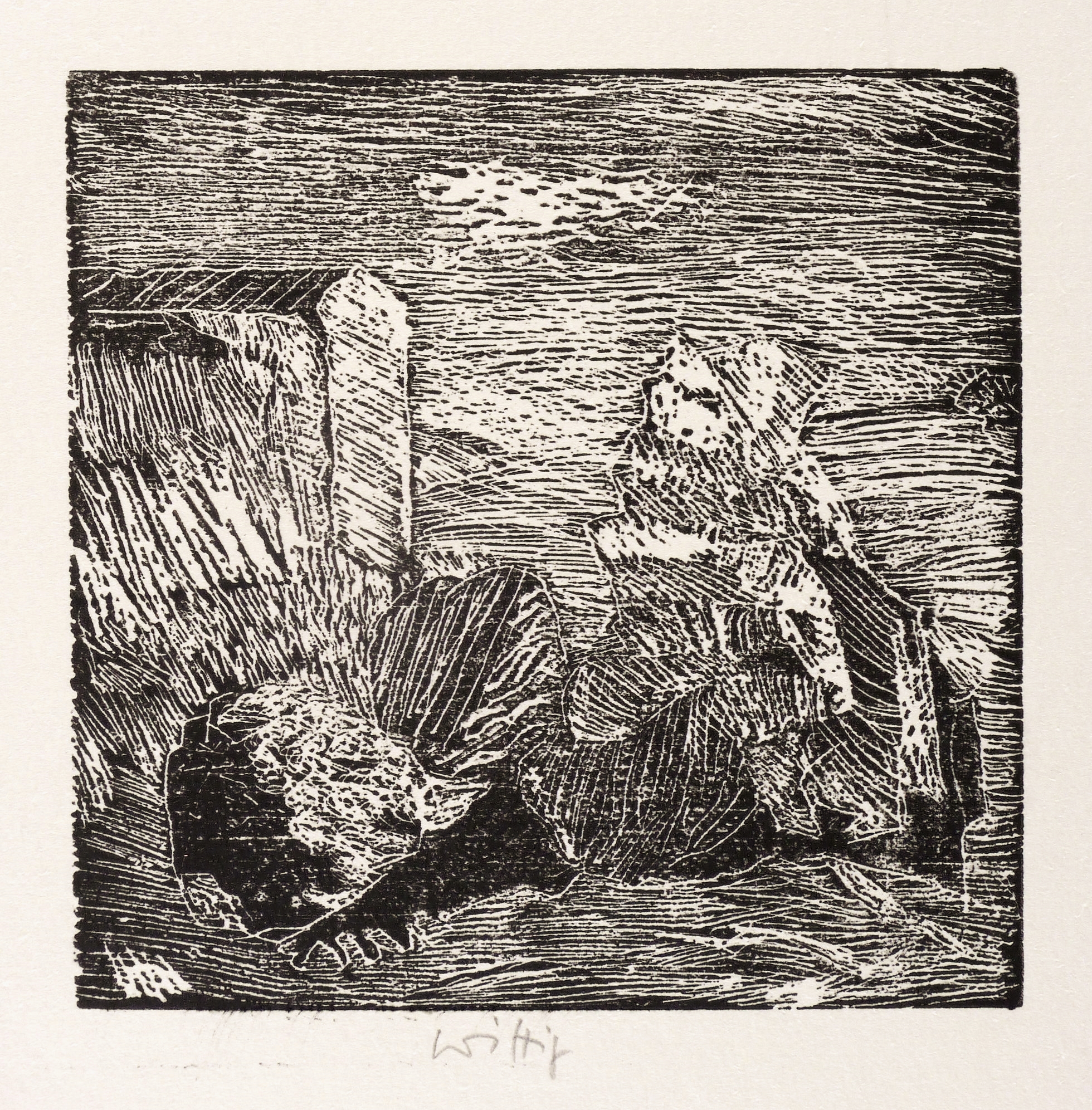 Ohne Titel (Hofstillleben)