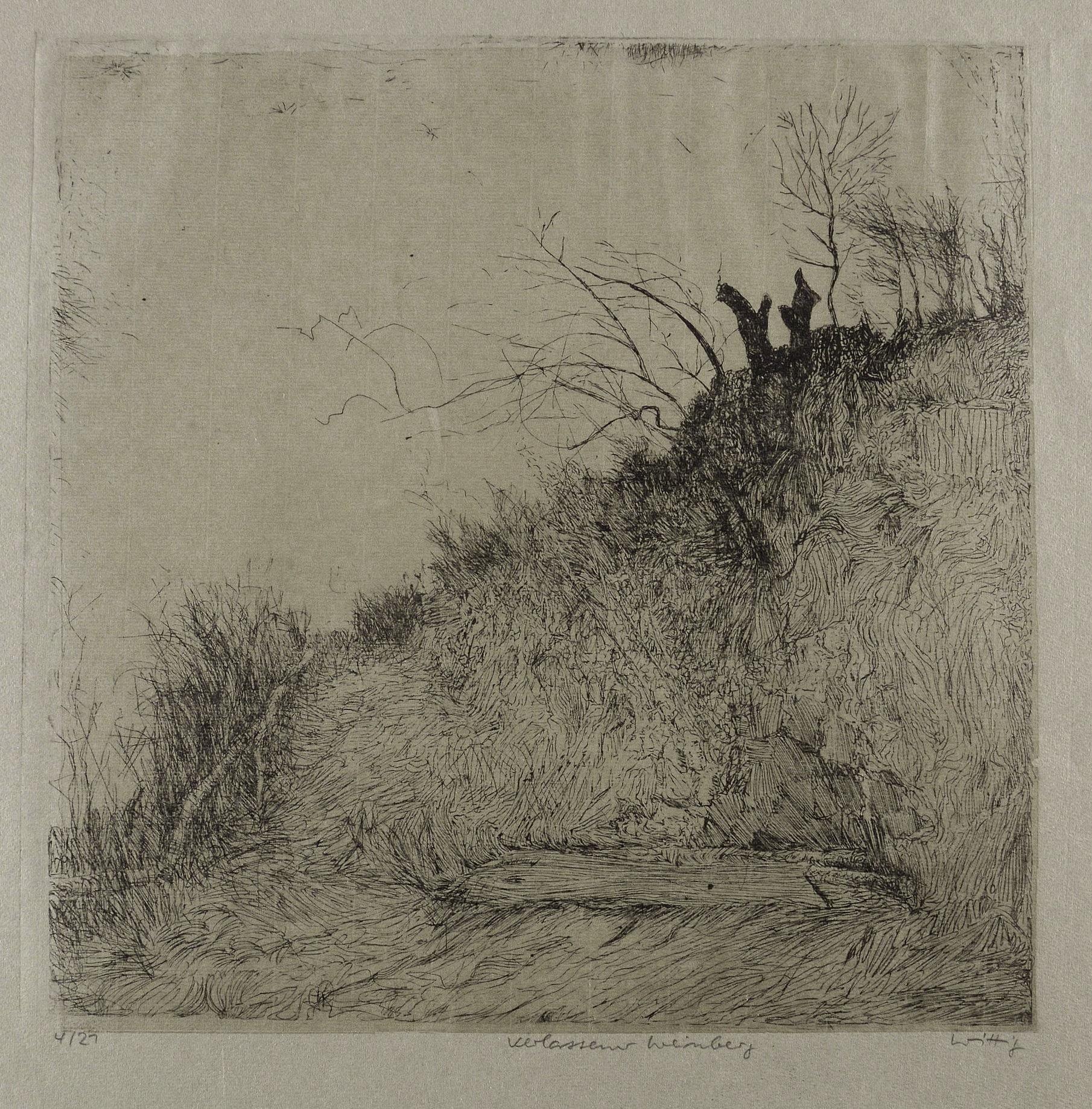 Verlassener Weinberg