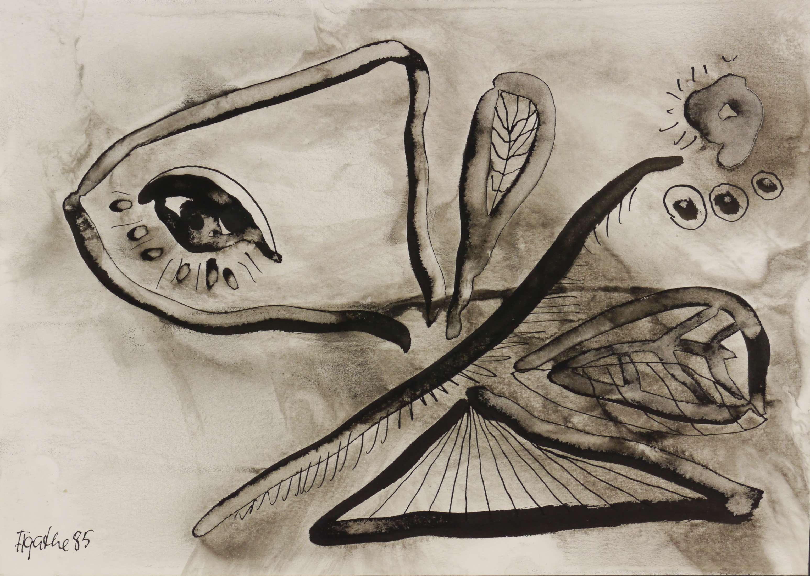 Schmetterling Schmetterling