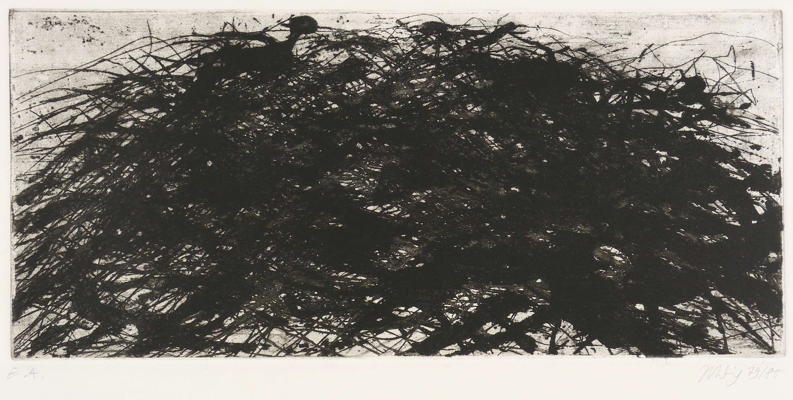 Gebüsch - Mecklenburg