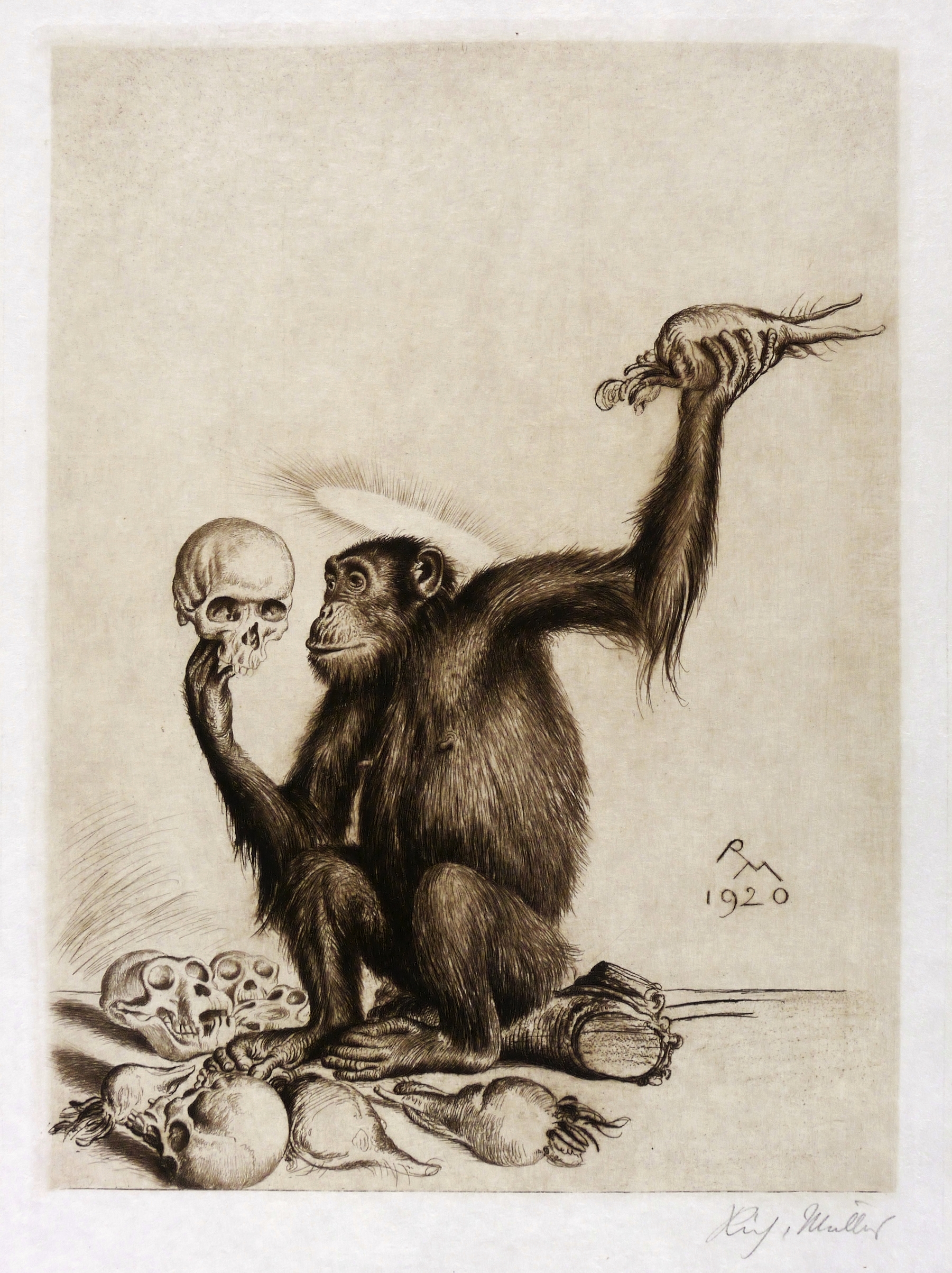 Richard Müller, Hirnschädelschau (Enzephalocranioskopie), 1920