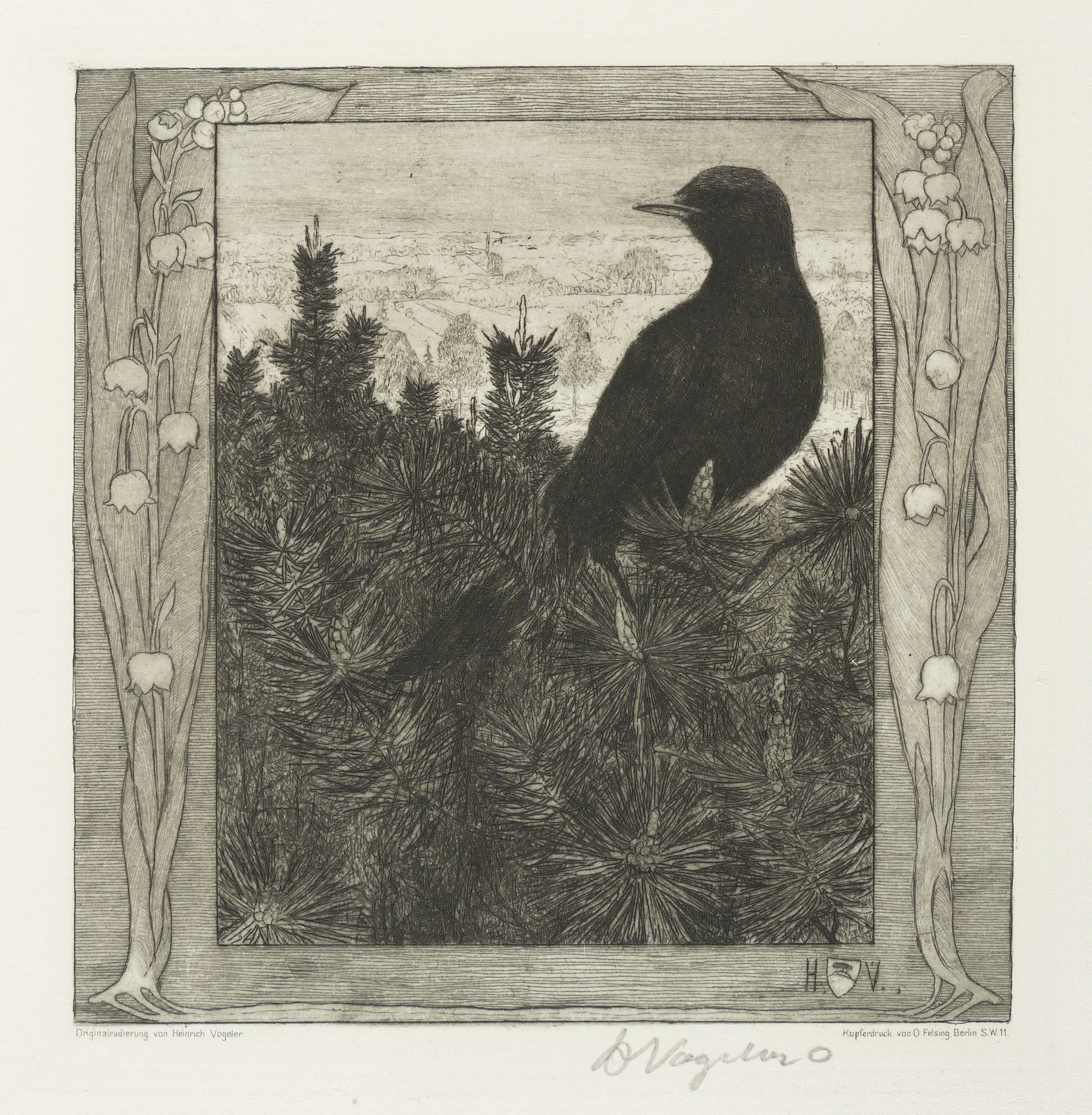 Die Amsel Die Amsel