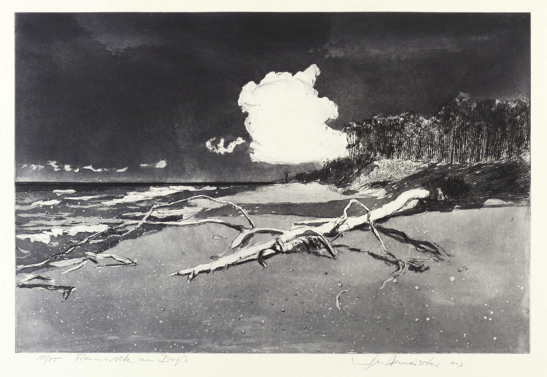 Wolfgang Werkmeister, Traumwolke am Darß, 2003
