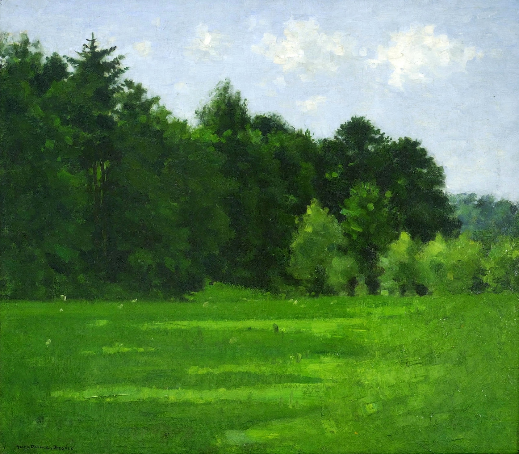 Wiese am Waldrand Wiese am Waldrand