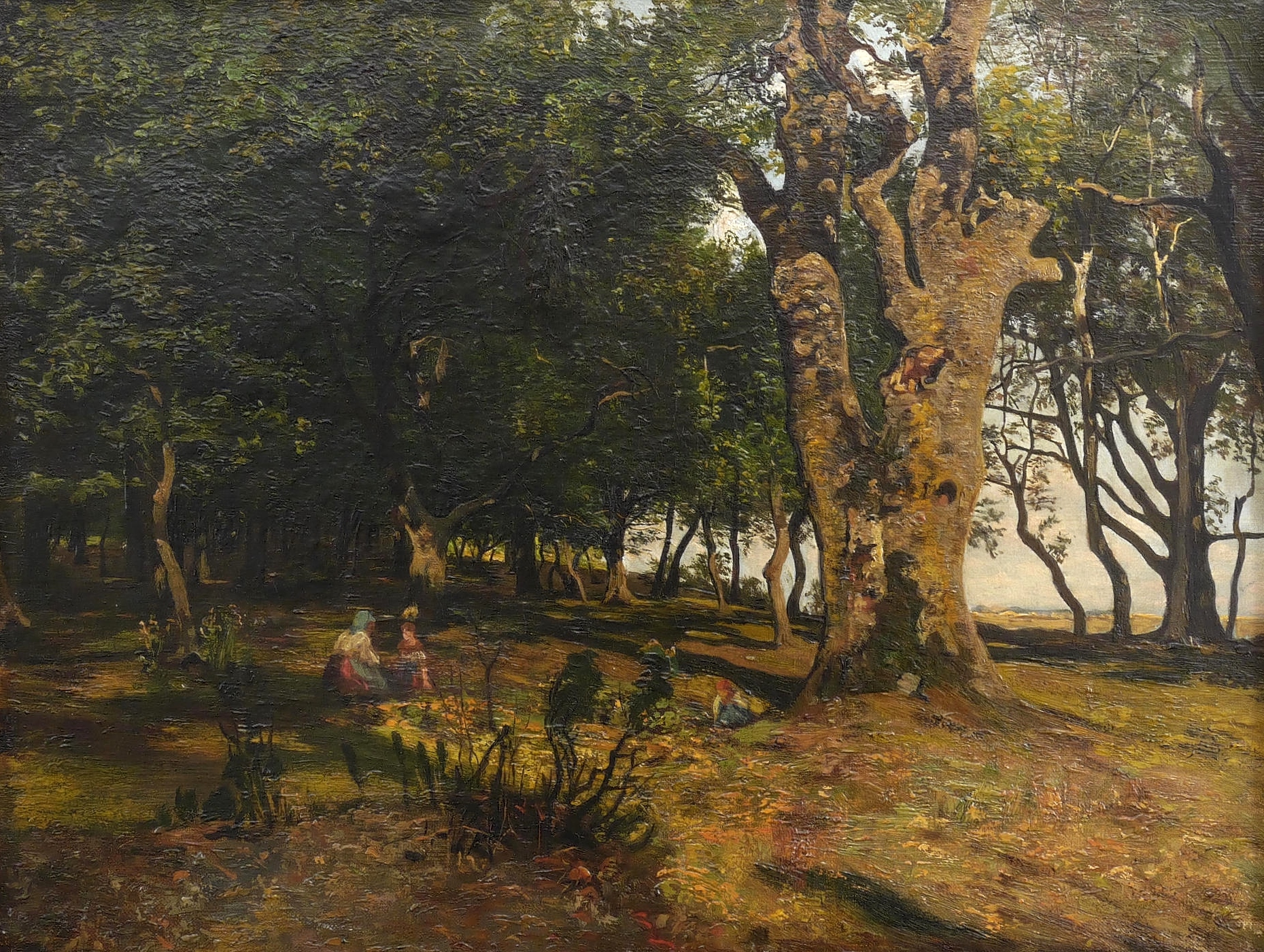 Weg am Waldesrand Weg am Waldesrand