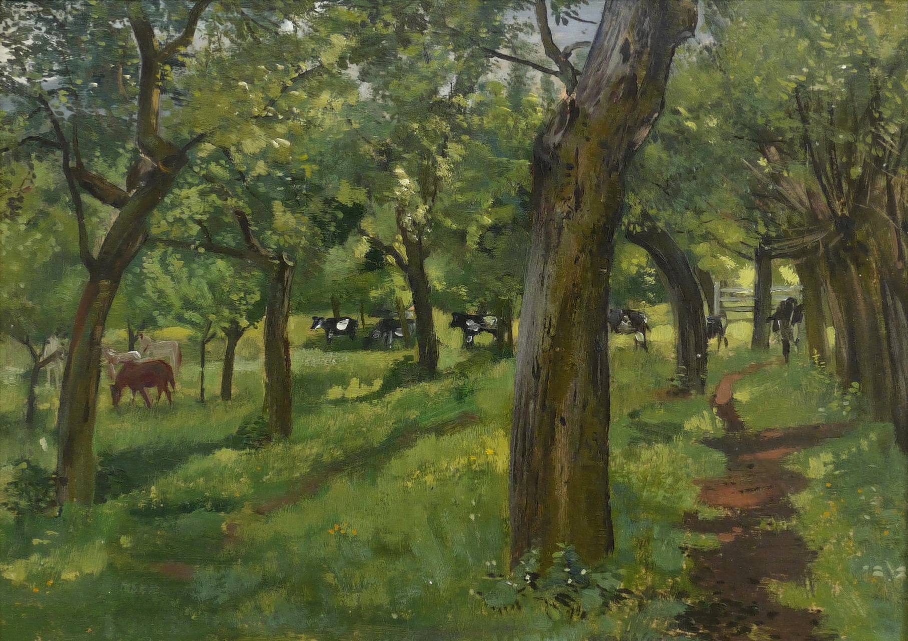 Viehweide unter Obstbäumen Viehweide unter Obstbäumen