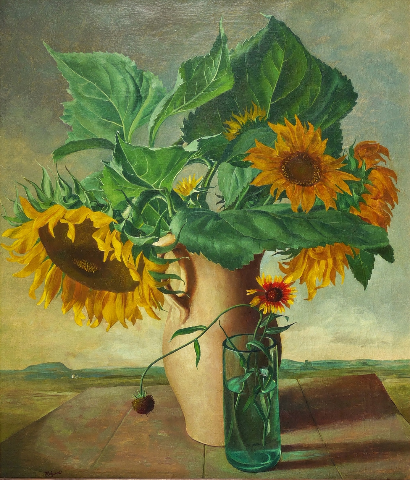 Sonnenrosen Sonnenrosen