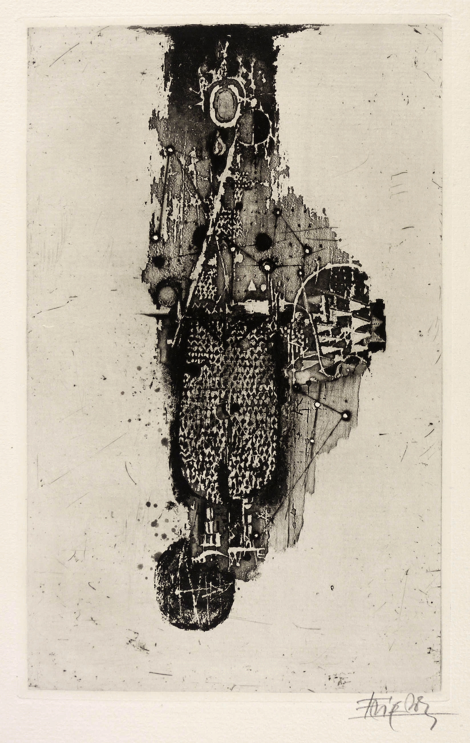 Coq (Hahn) Coq (Hahn)