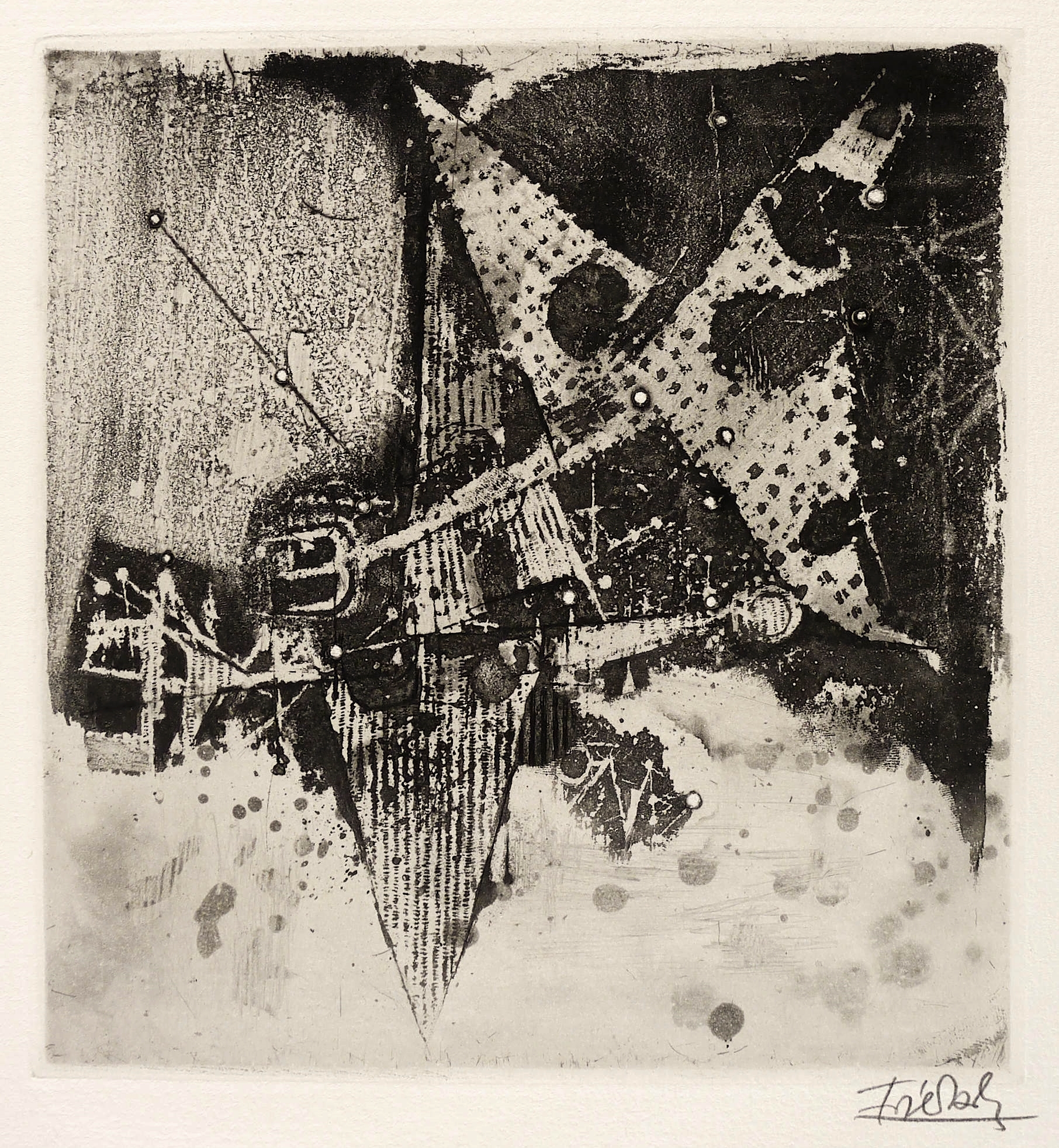 Oiseaux (Vögel) Oiseaux (Vögel)