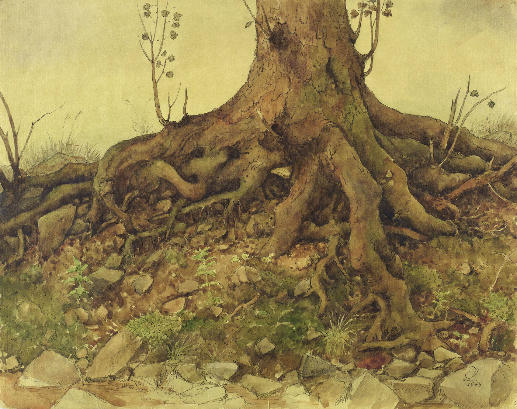 Erich Lindenau, Baumwurzel, 1948