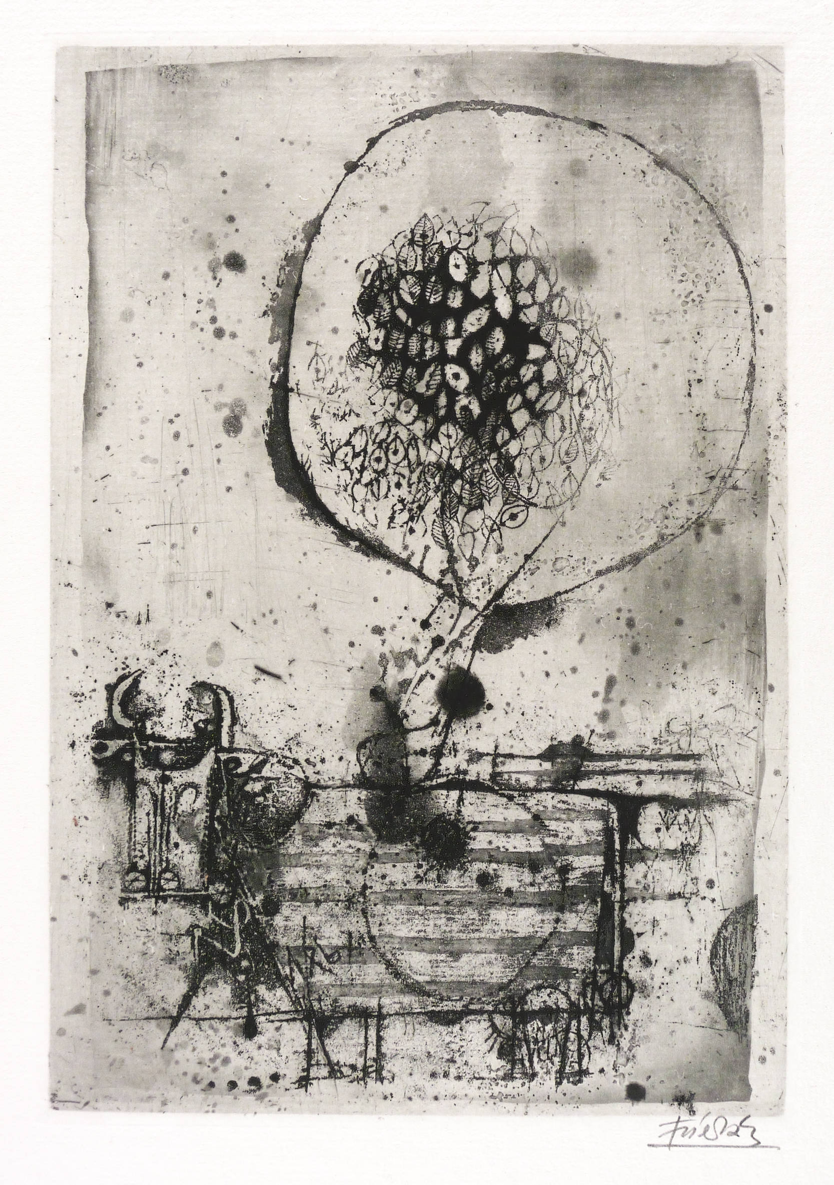 Vache (Kuh) Vache (Kuh)