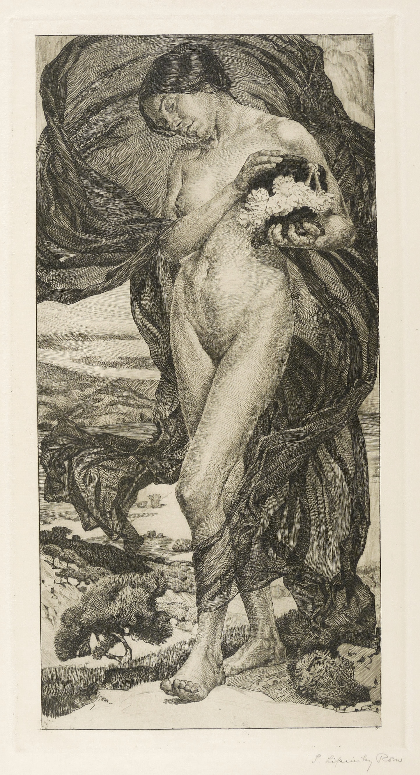 Pandora Pandora