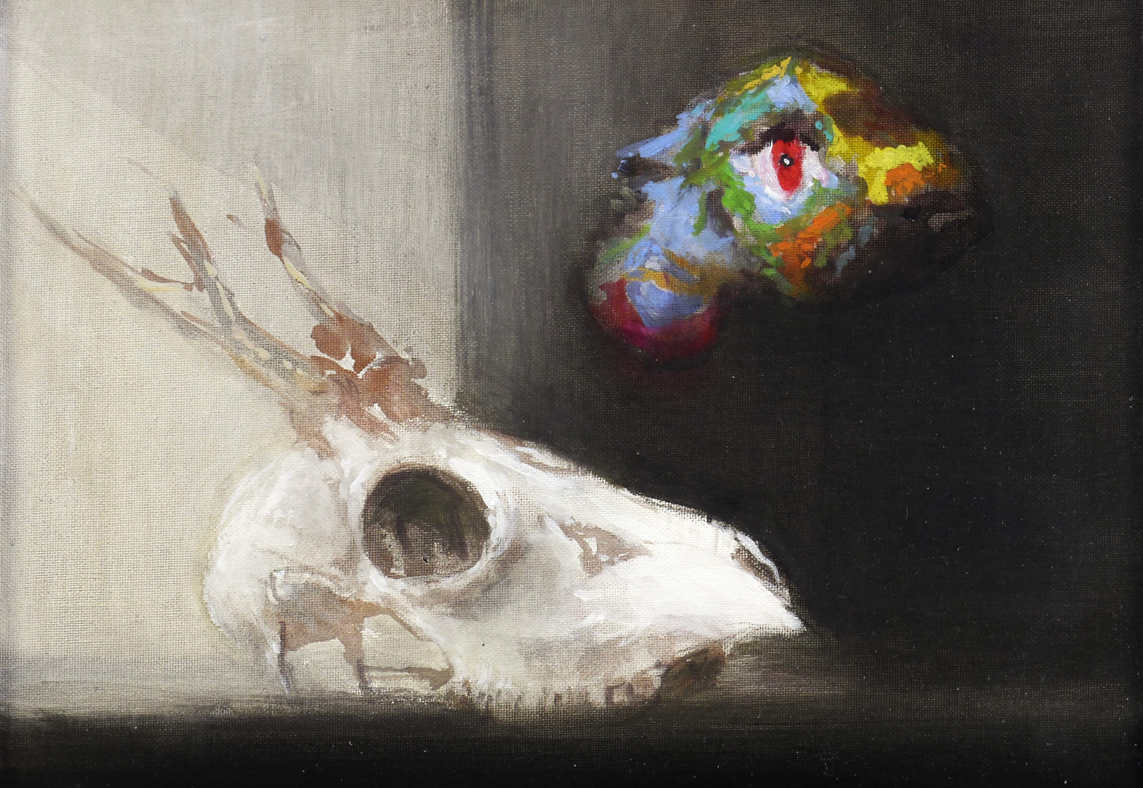 Ausstellung: Andreas Wachter – Gestrandet