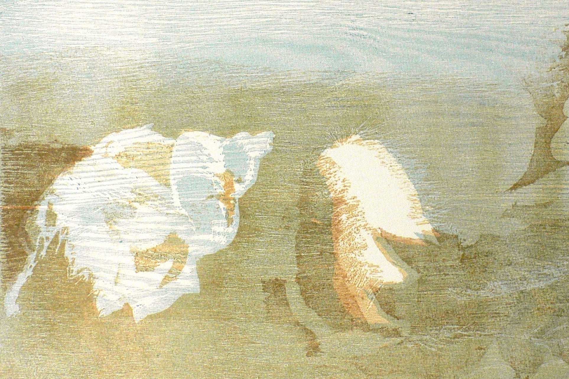 Ausstellung: Werner Wittig – Holzrisse